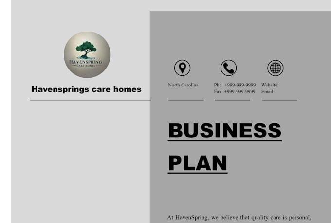 write investor ready business plan for assisted living, home care, adult care
